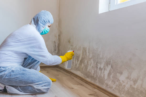 Mold Remediation for Rental Properties in University Park, TX